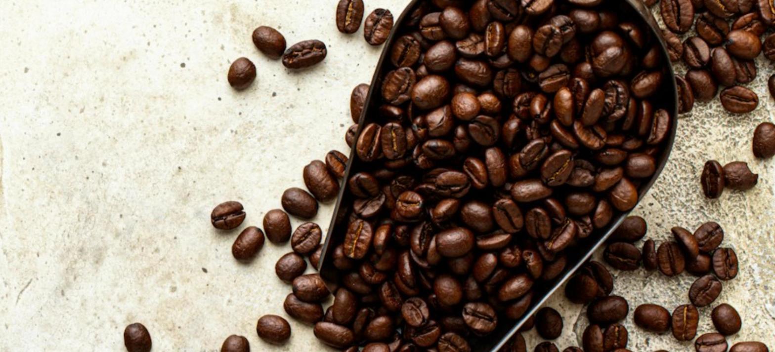 Grãos de café torrados numa pá metálica